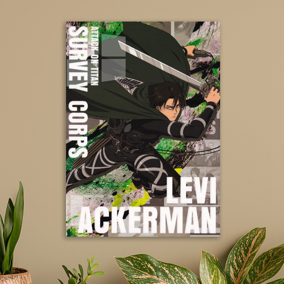 Levi Ackerman 