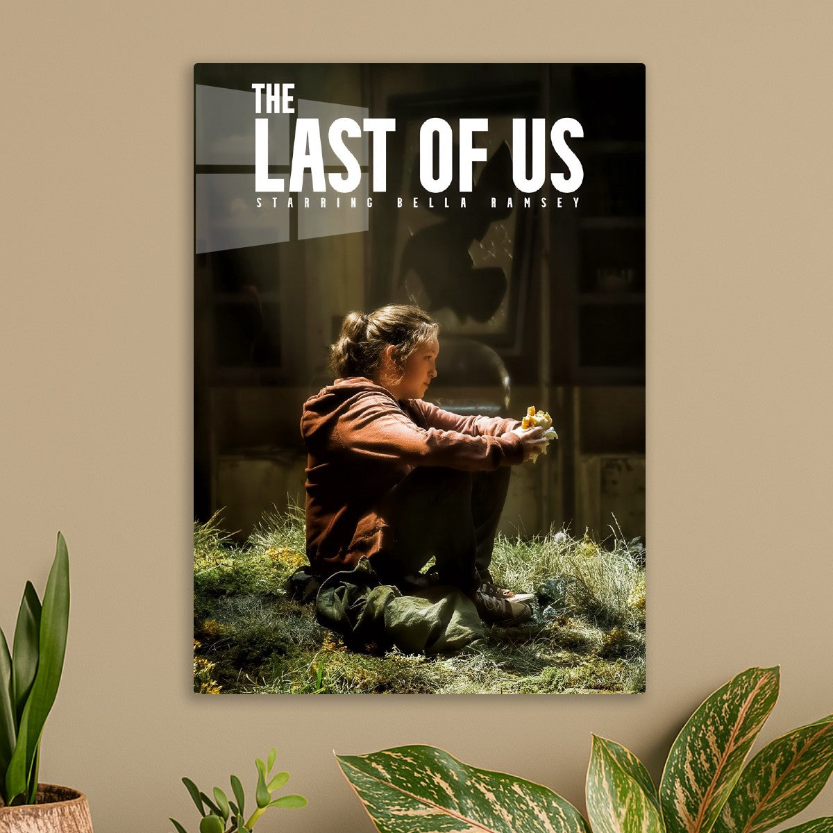 the last of us