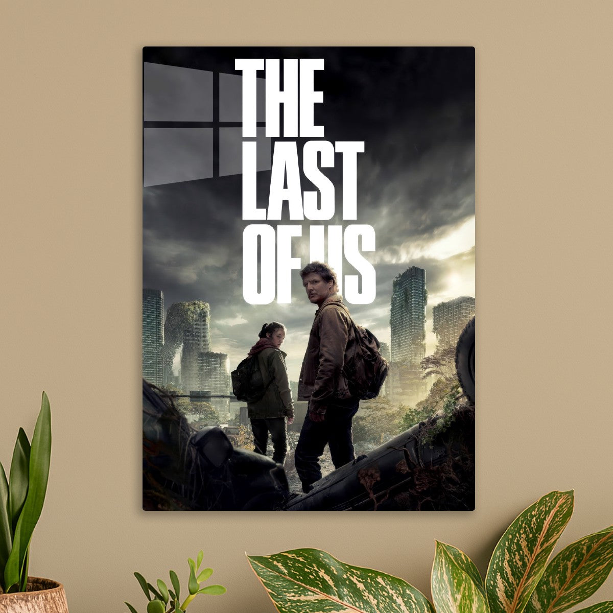 the last of us
