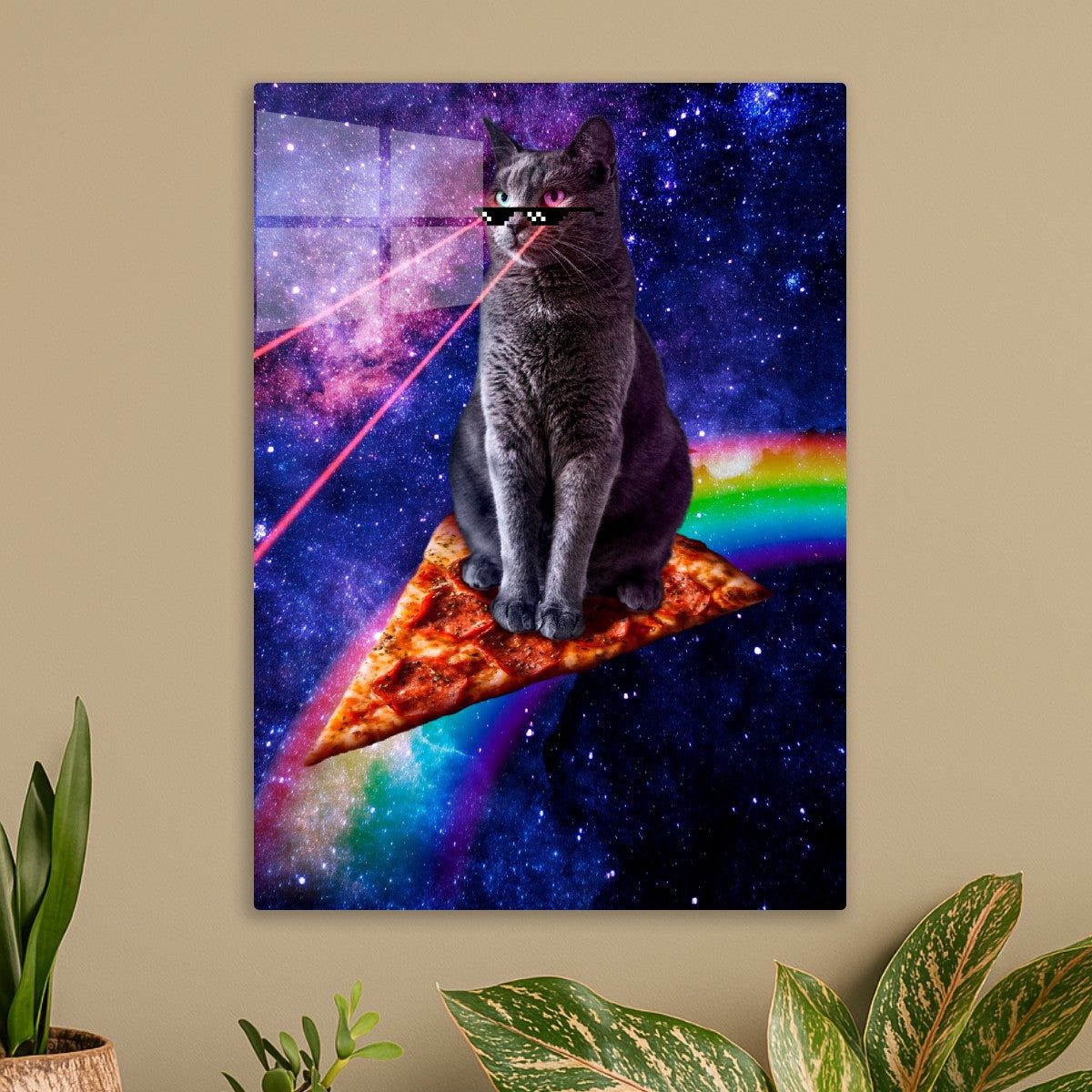 Pizza Cat Is My Co-Pilot