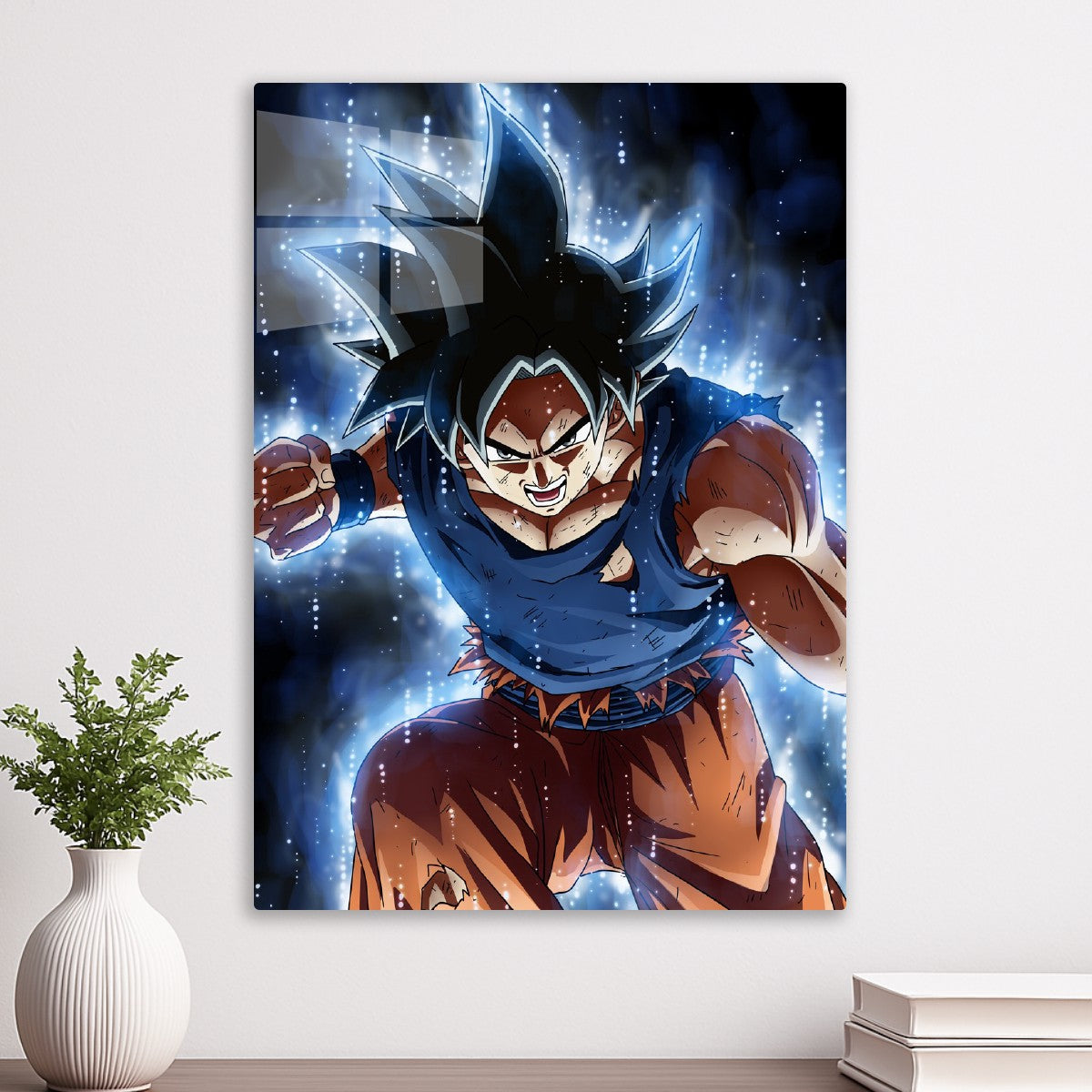 Saiyan, Dragonball