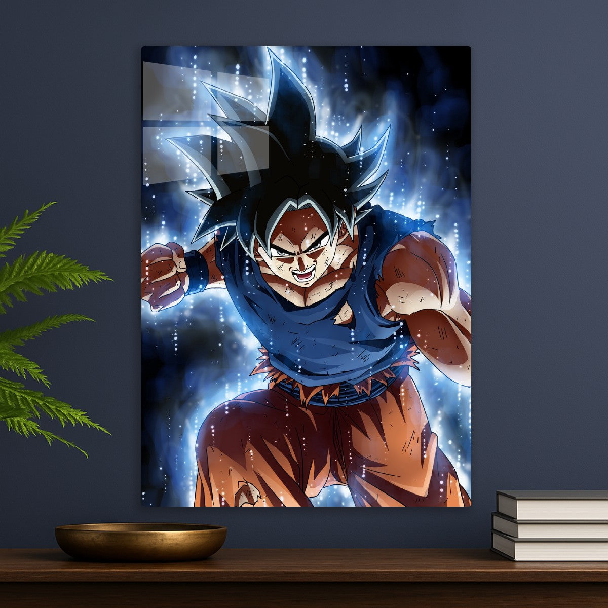 Saiyan, Dragonball