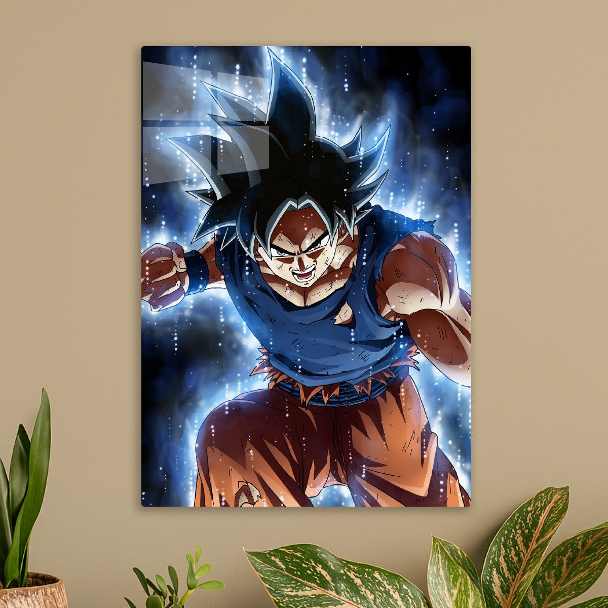 Saiyan, Dragonball