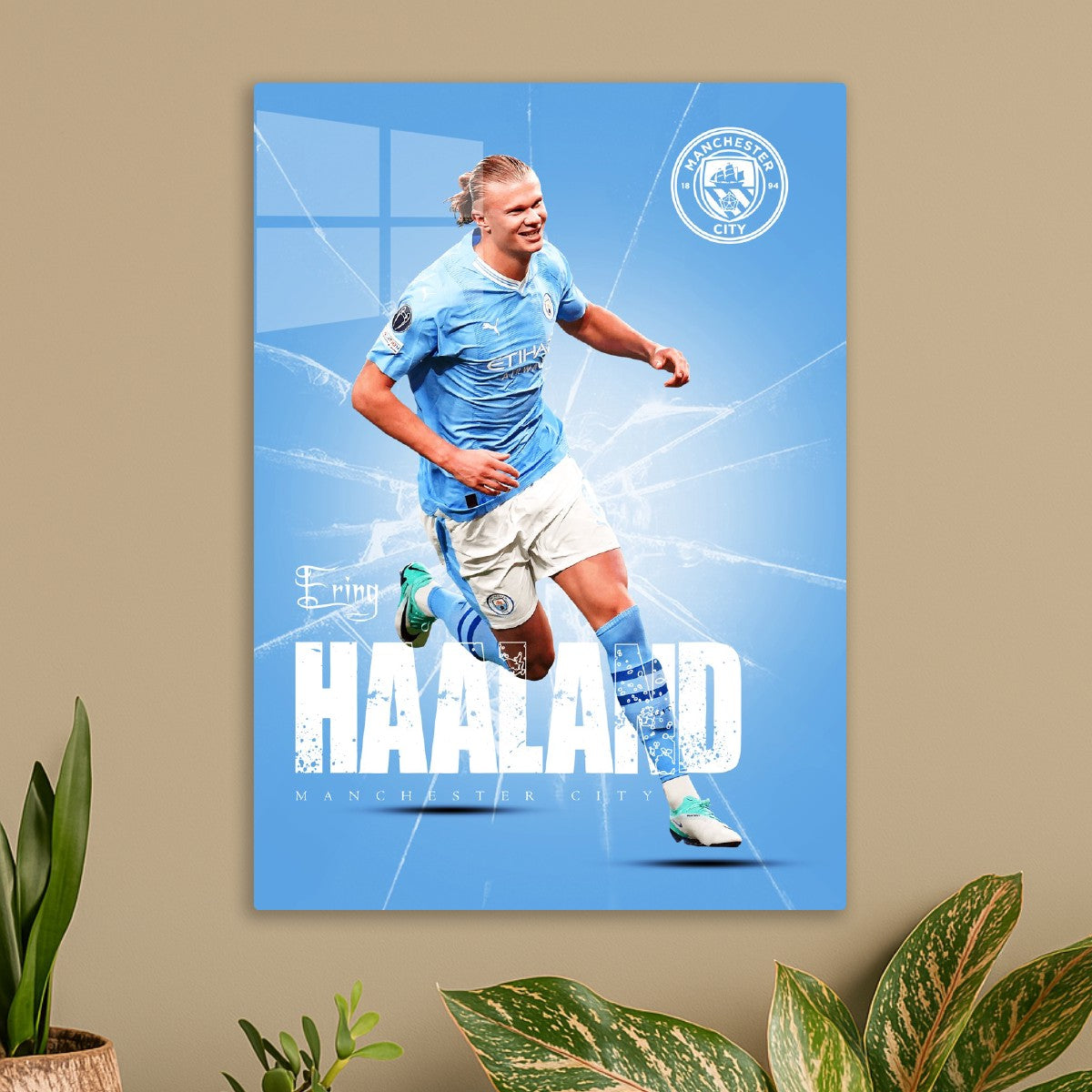 Erling Haaland