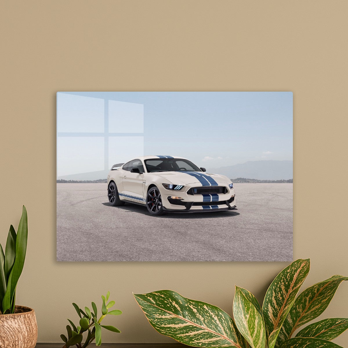 Ford Shelby white blue