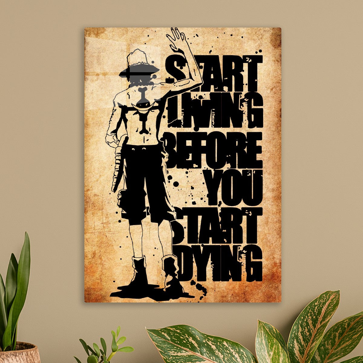 Portgas D. Ace, One Piece