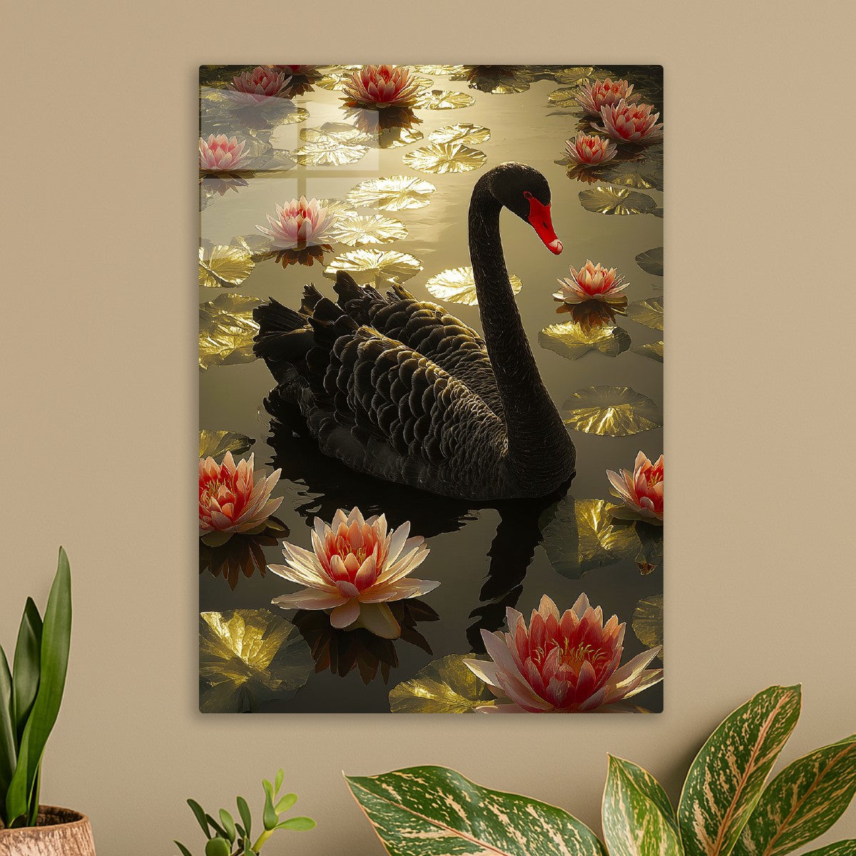 Onyx Swan Serenity