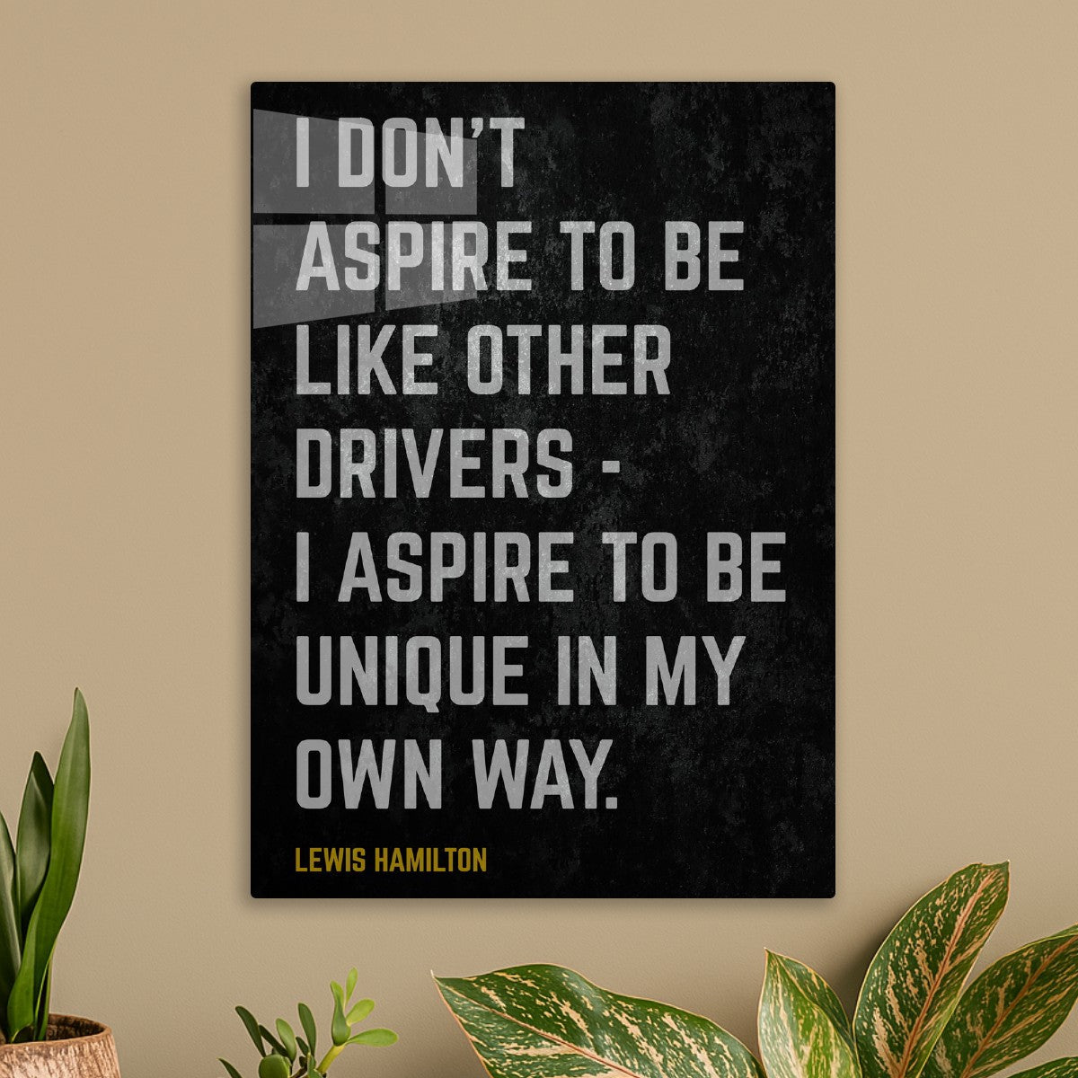 Lewis Hamilton Quotes