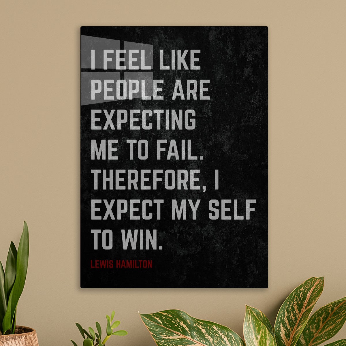 Lewis Hamilton Quotes