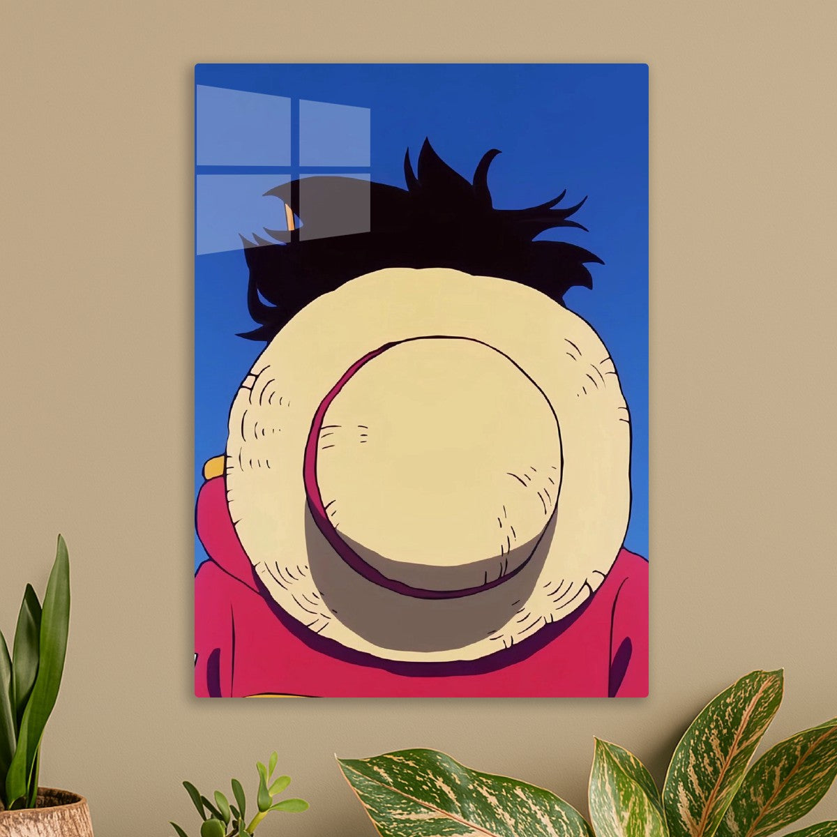 Straw hat pirates, One Piece