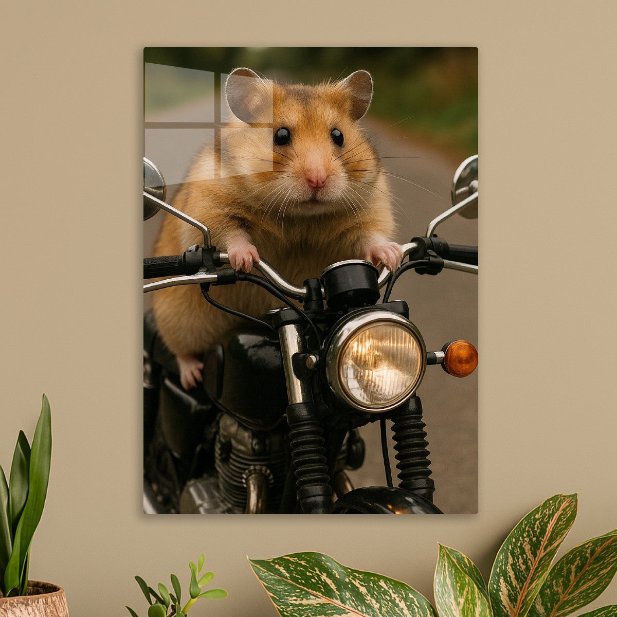 Born to be wild and tiny