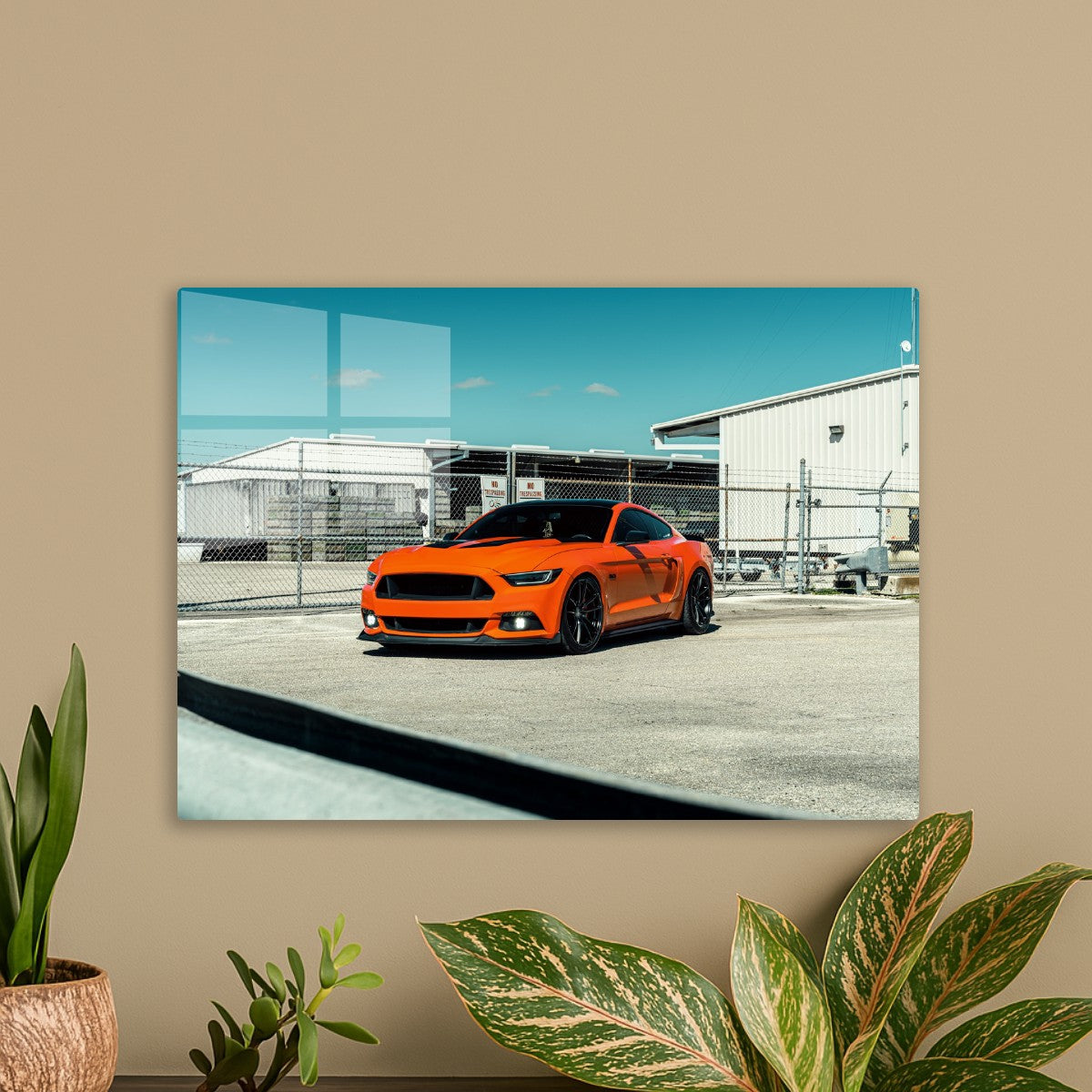 Orange Mustang 