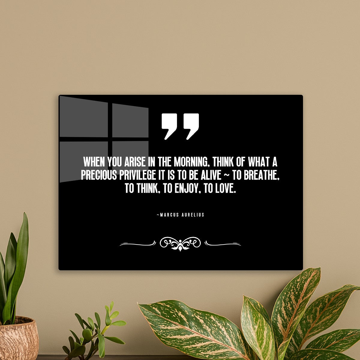 Marcus Aurelius Quote