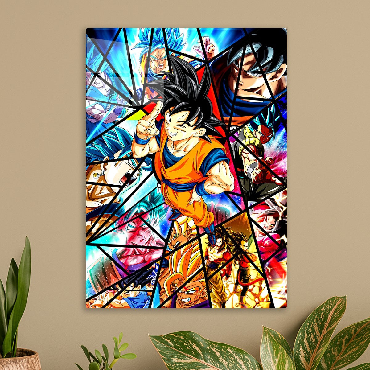 Son Goku form, Dragon ball