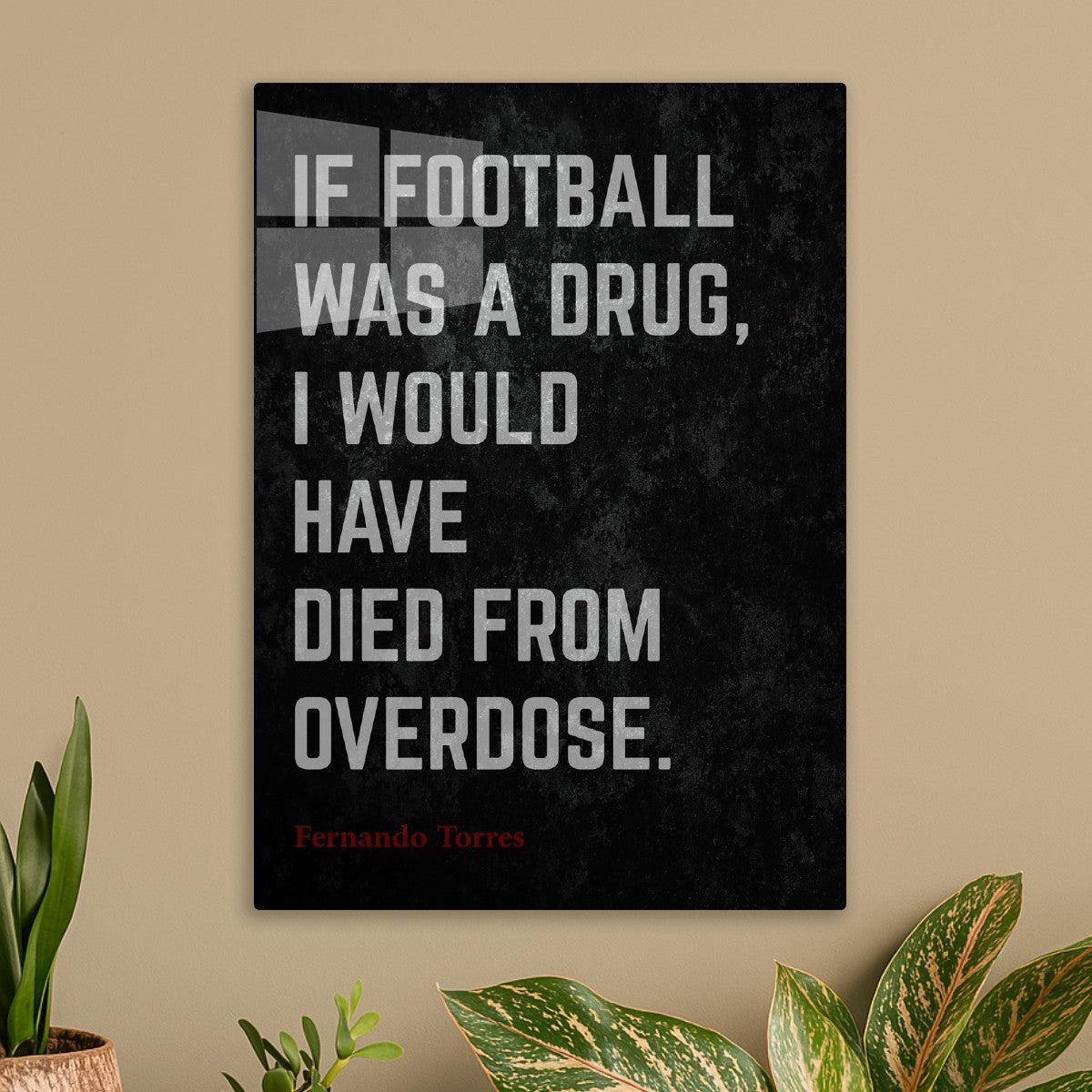 Fernando Torres Quotes