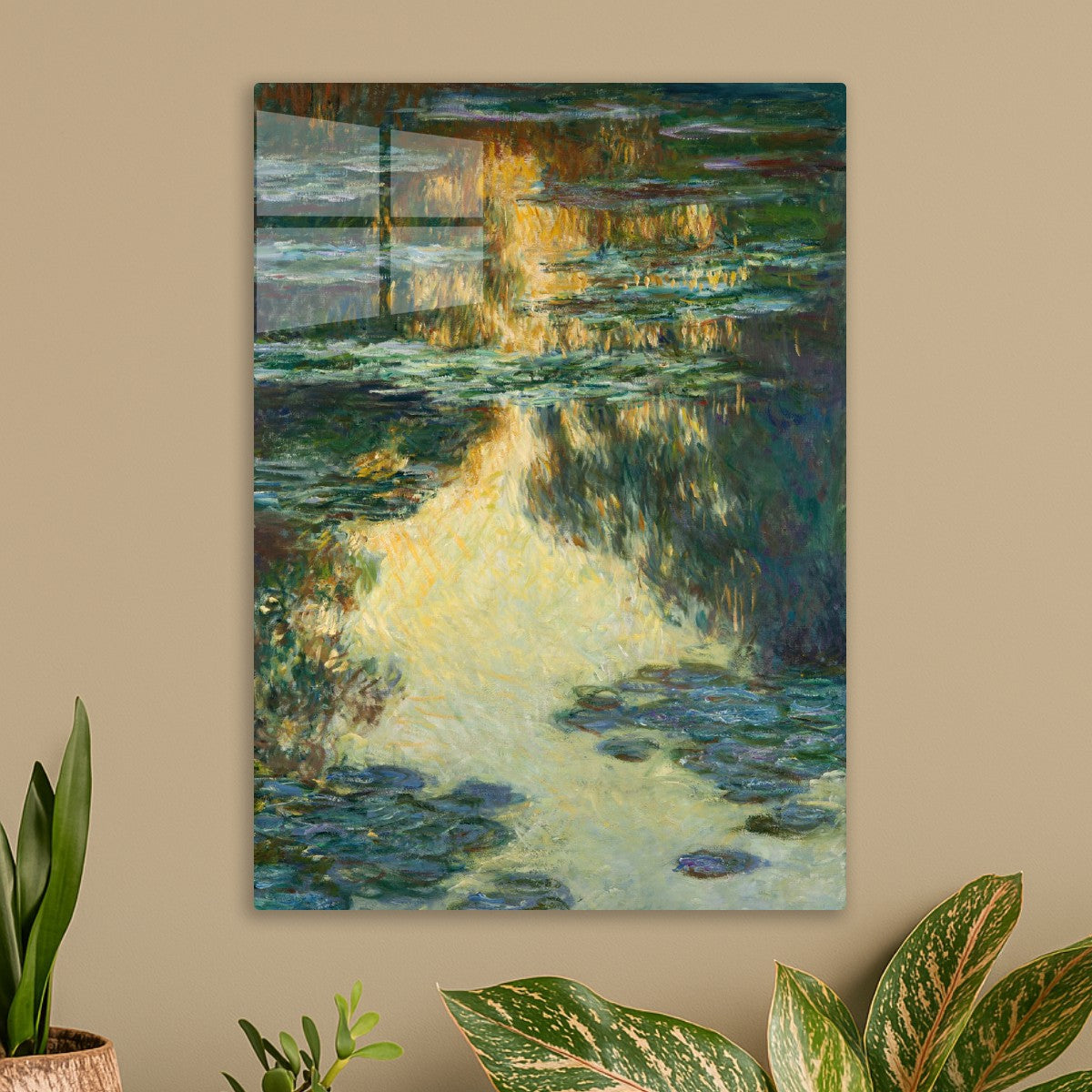 Water Lilies flower lake