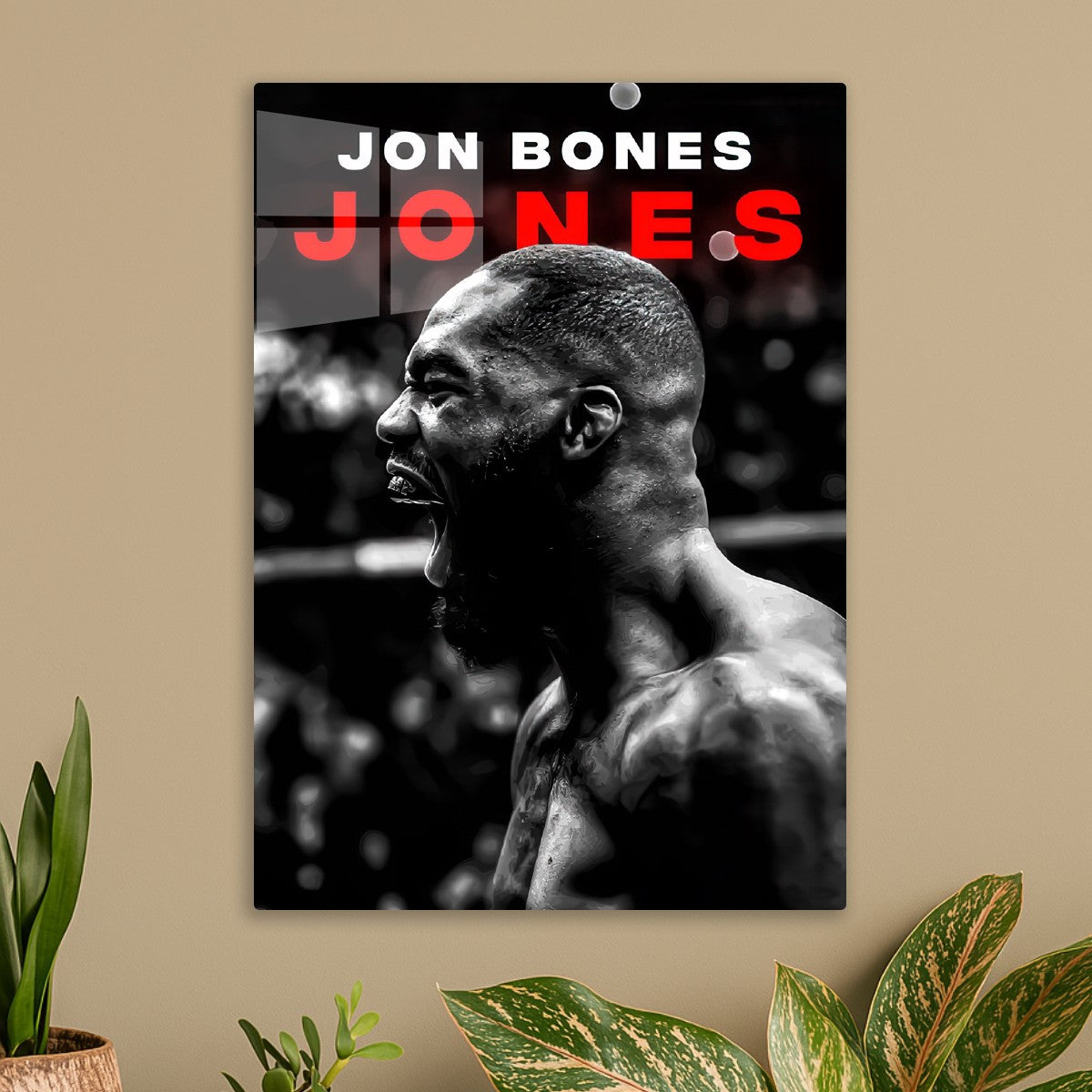 jon jones