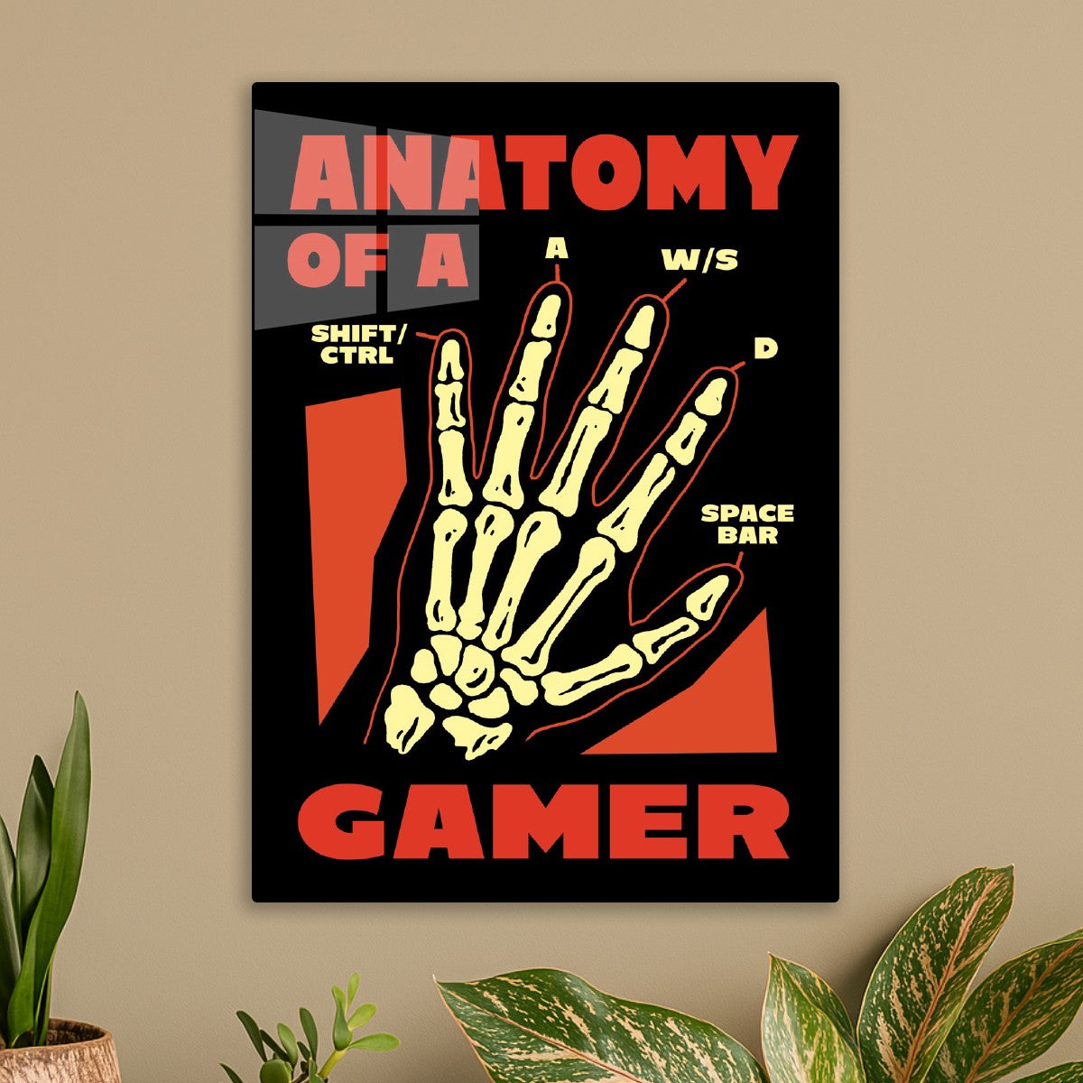 Anatomy of a Gamer