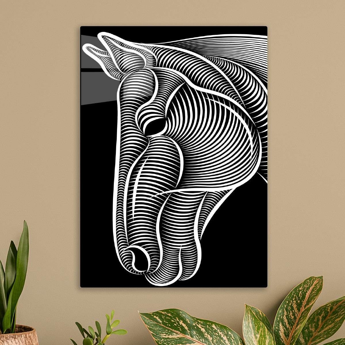 Horse Face in Optical Lines