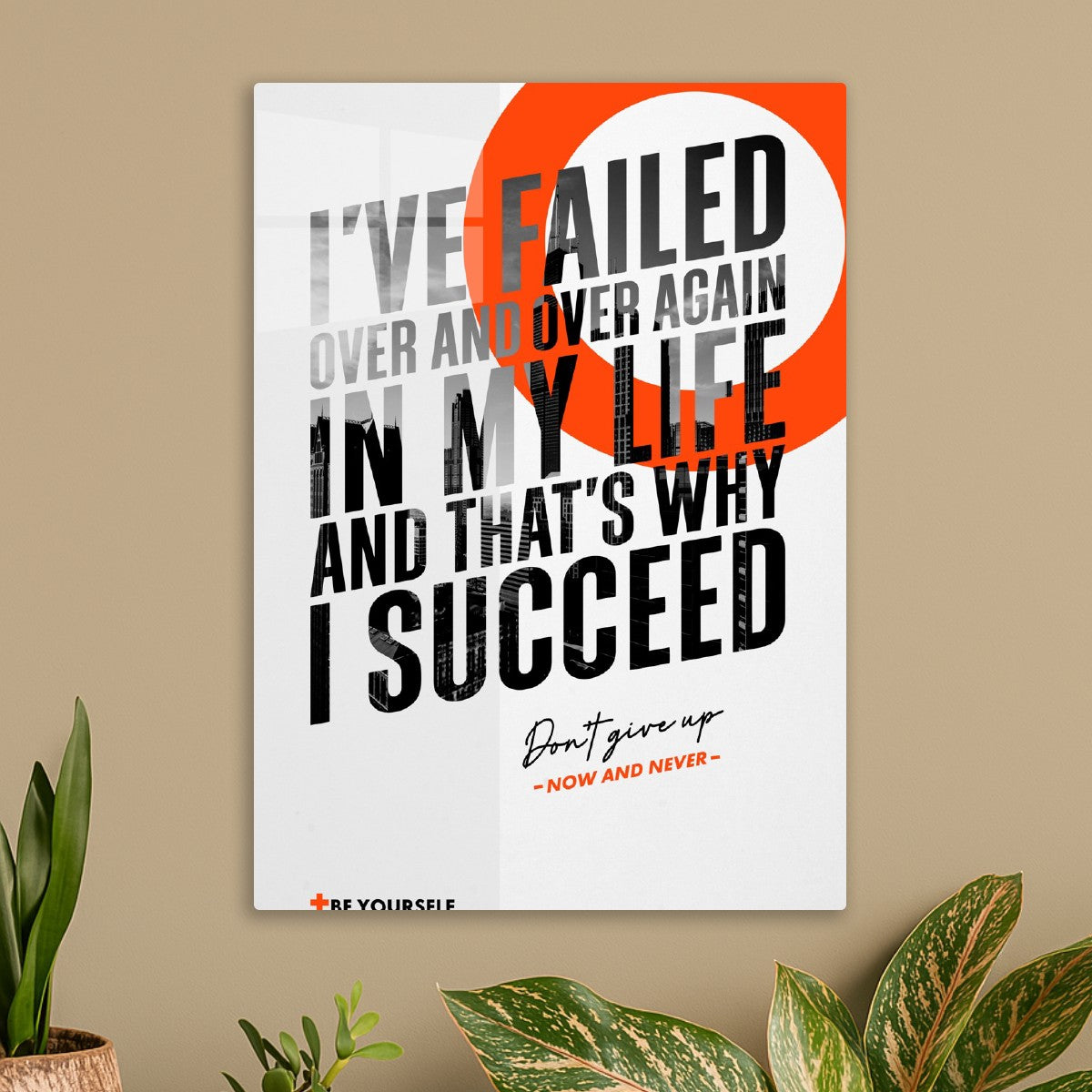 Own The Win, white background