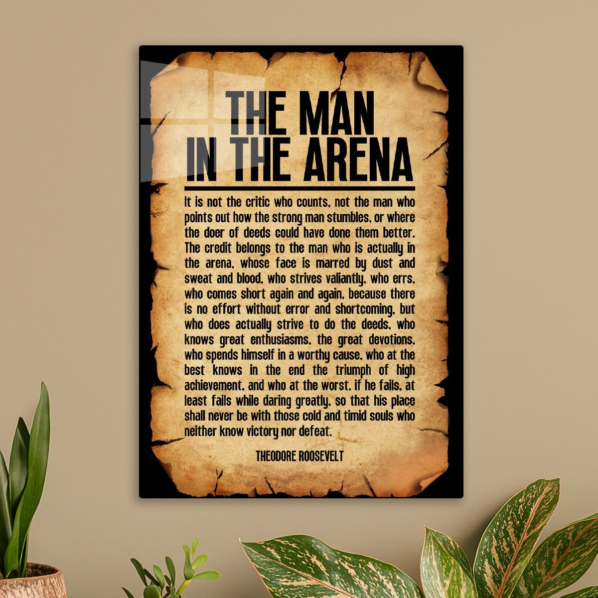 The Man in the Arena, Theodore Roosevelt