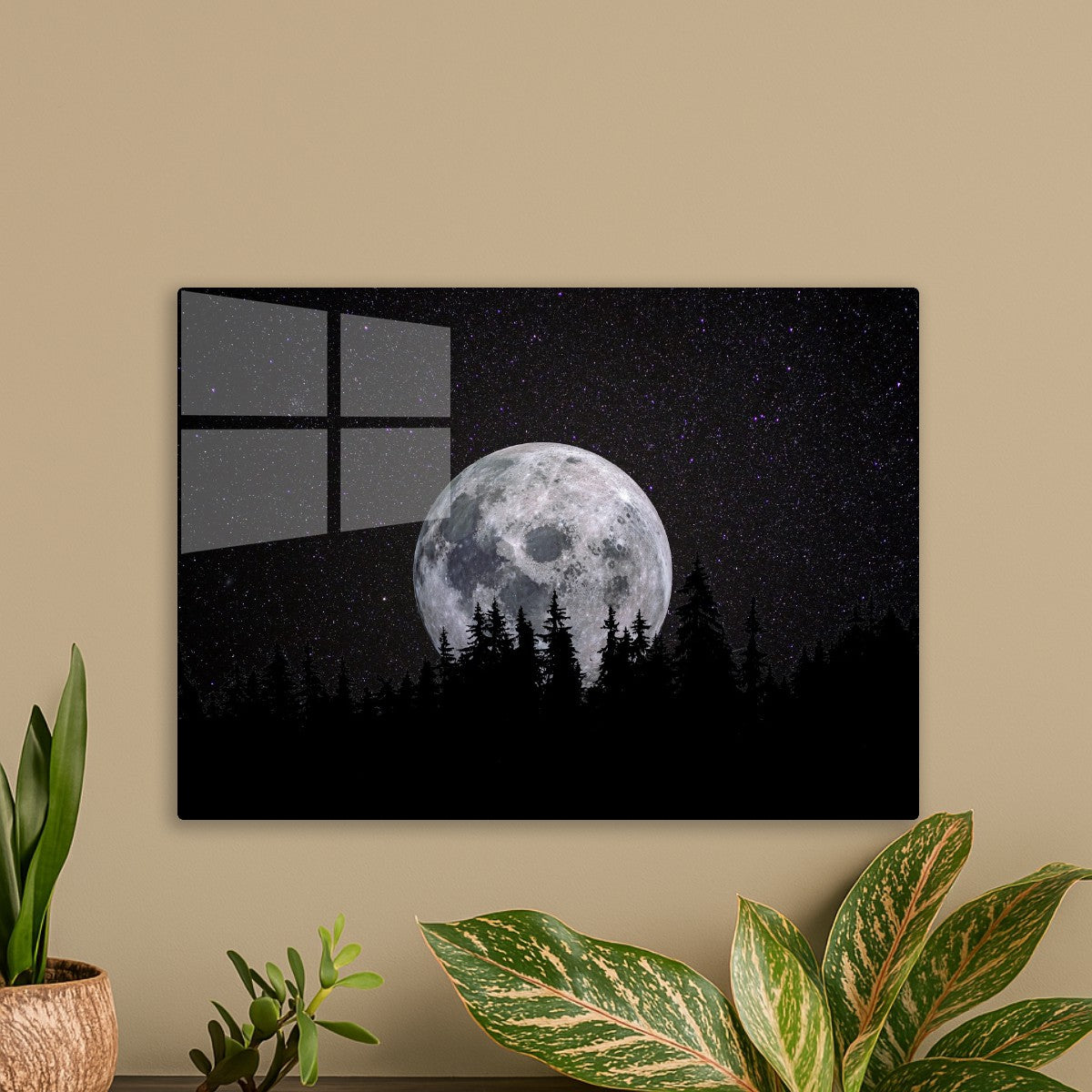 Full moon Forest Night Dark