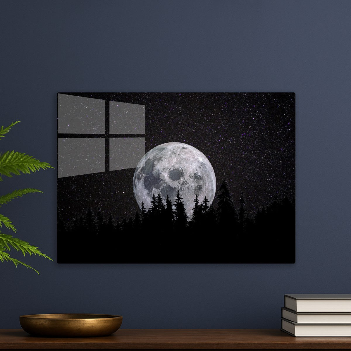 Full moon Forest Night Dark