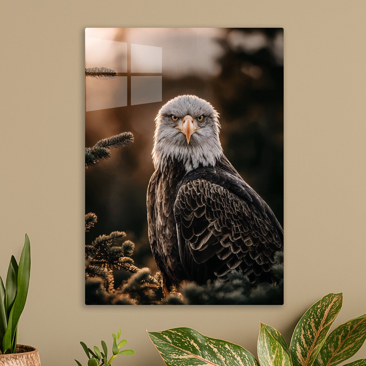 Regal Eagle in the Pines