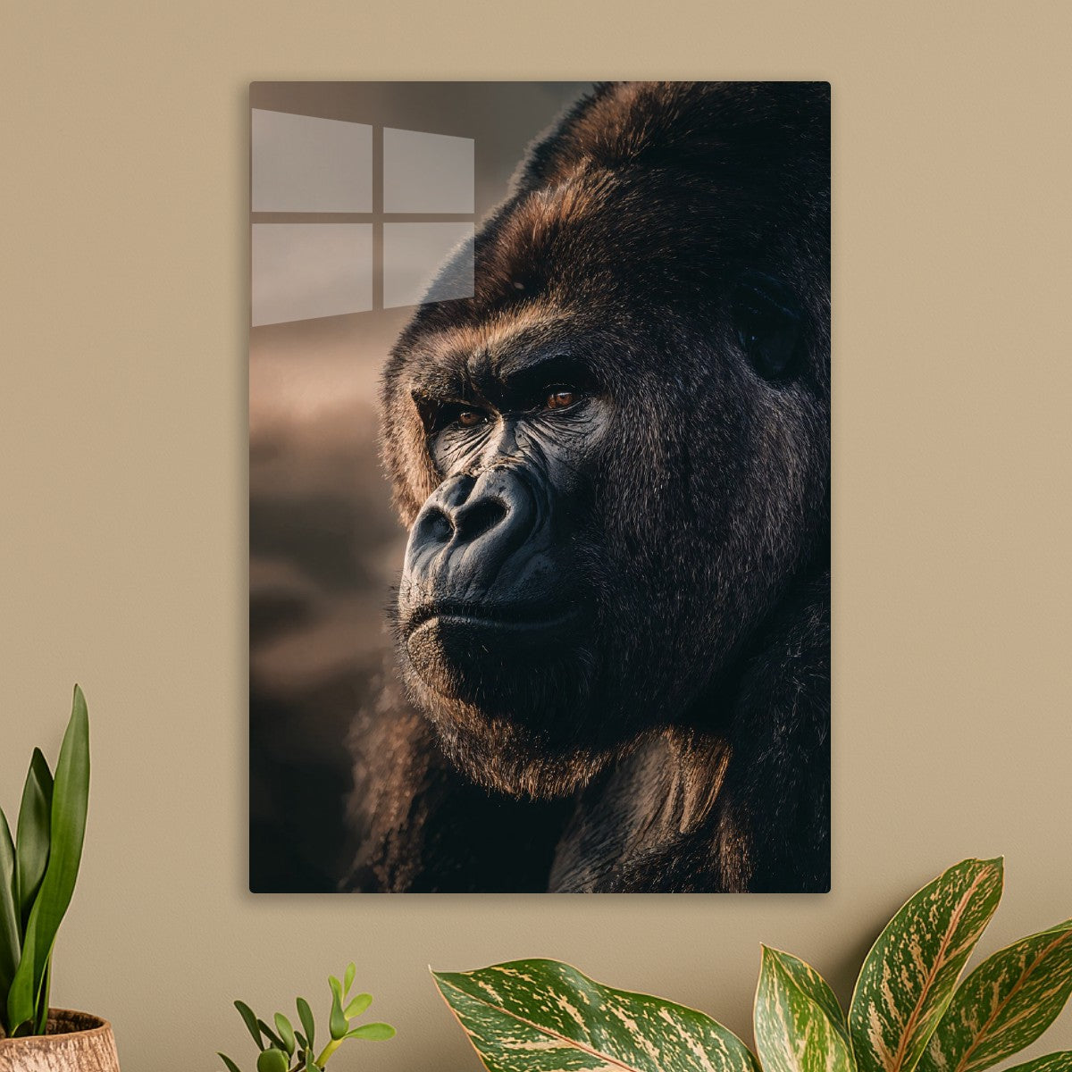 Gorilla in Golden Light