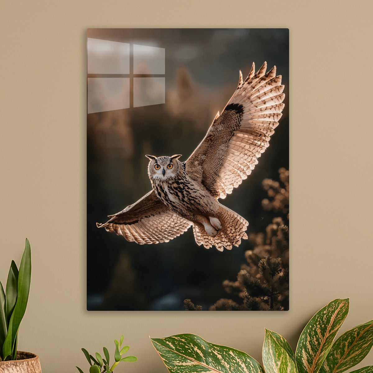 Silent Flight of the Owl