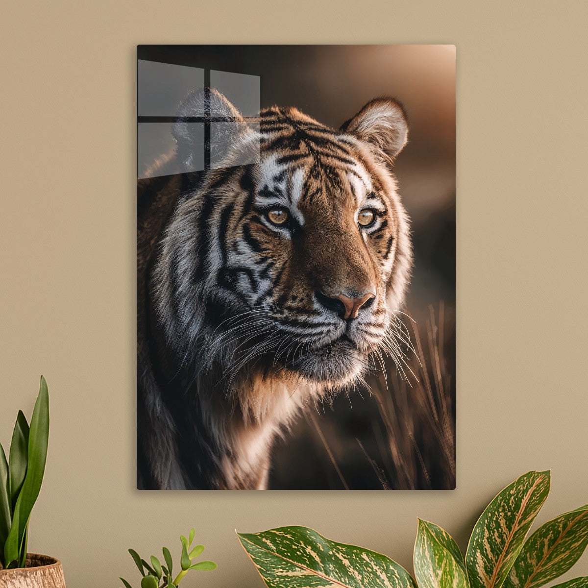 Gaze of the Wild Tiger