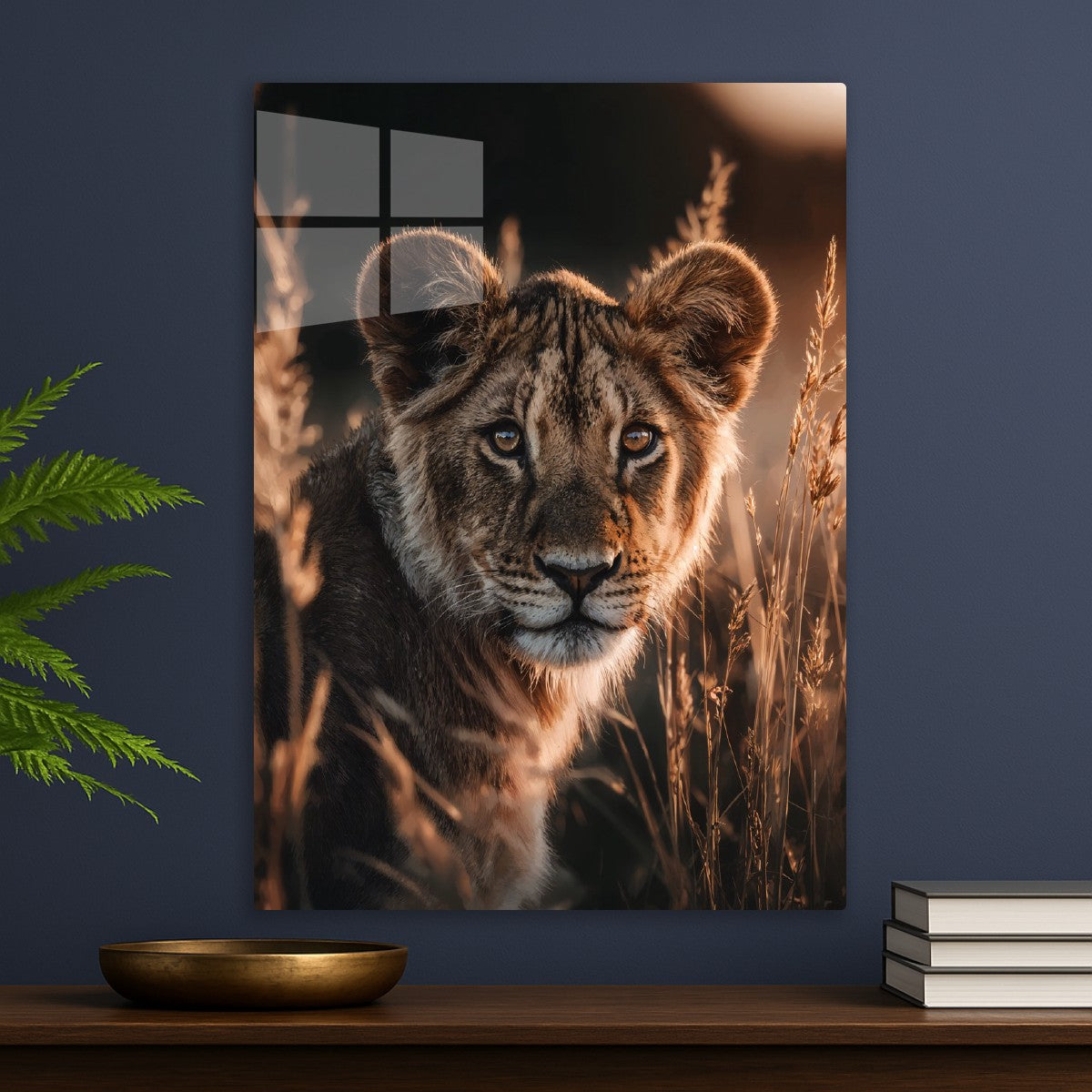 Lion Cub in Golden Light