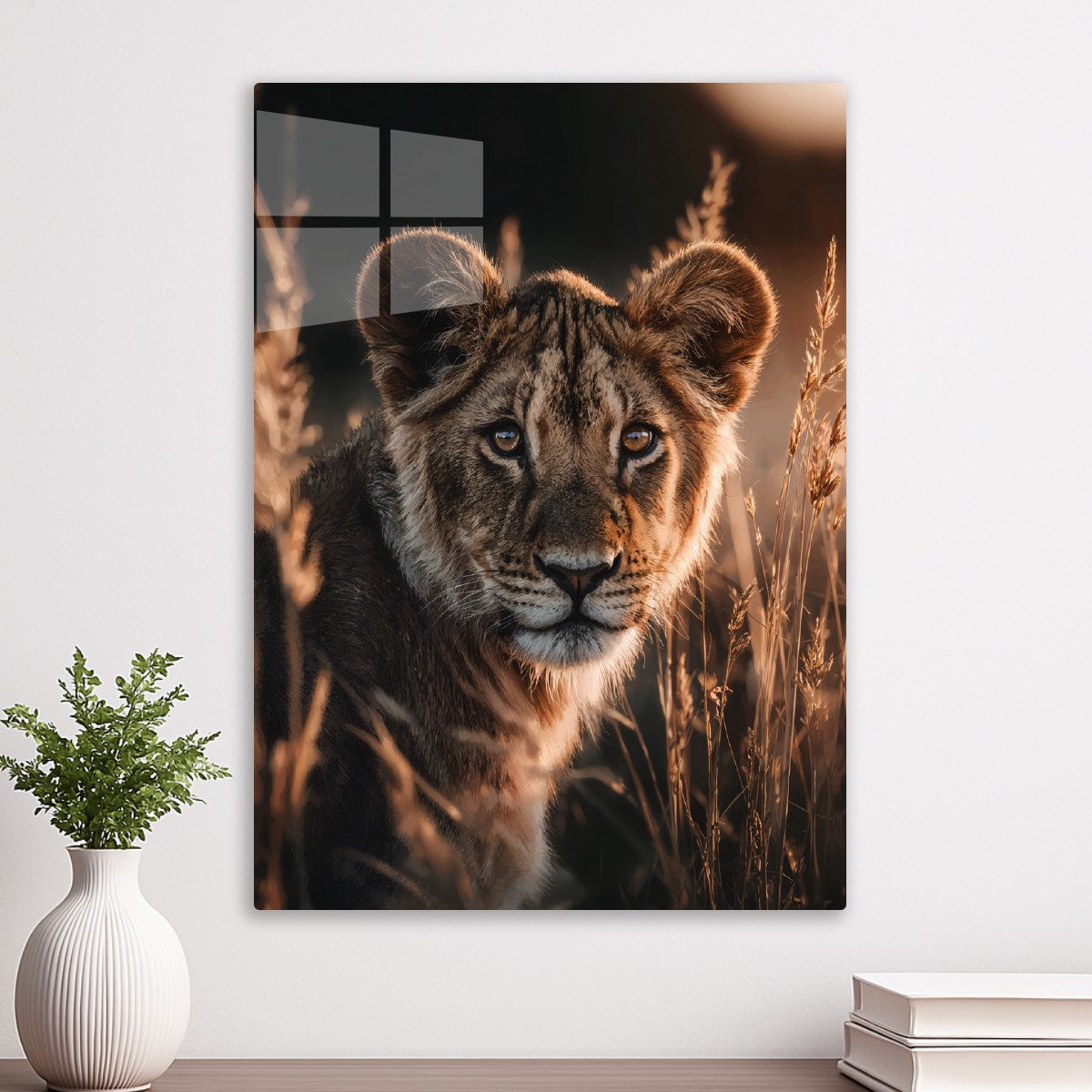 Lion Cub in Golden Light