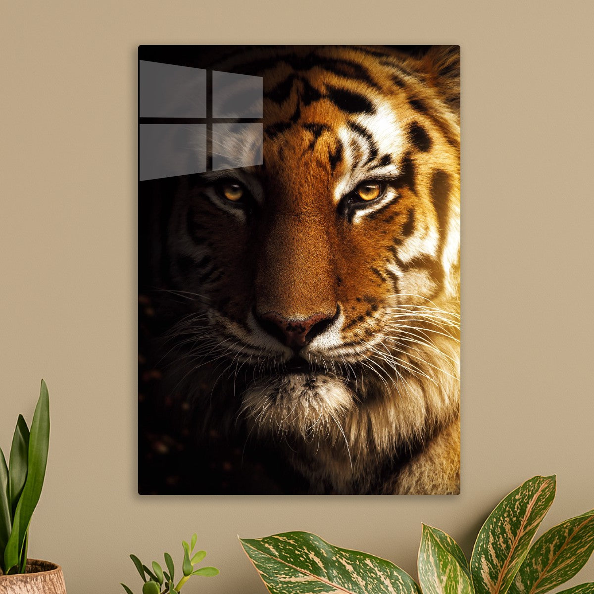 wild tiger face