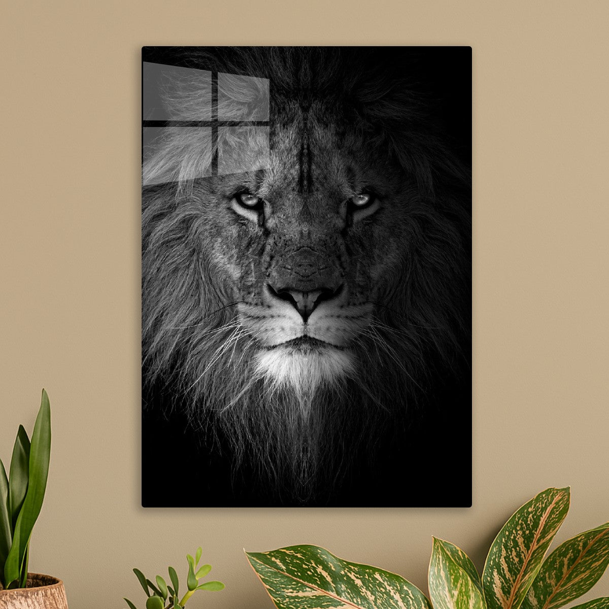 black and white lion face