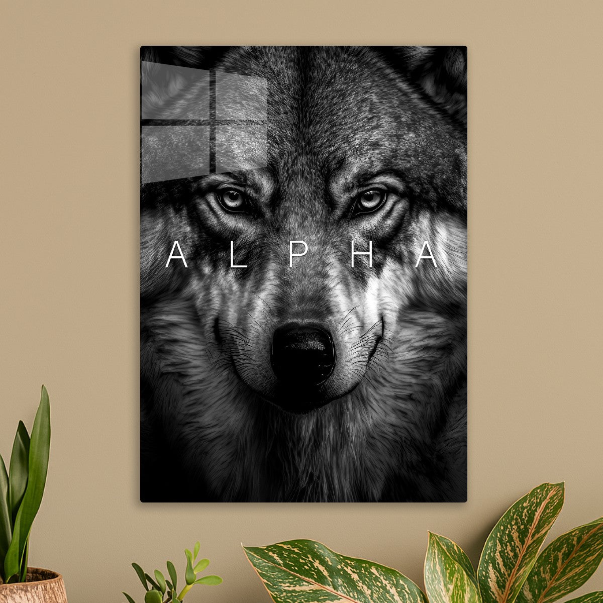 Alpha wolf face
