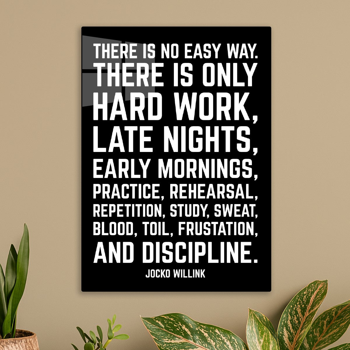 Jocko Willink Quotes