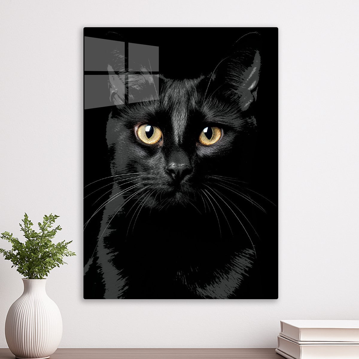 Black cat