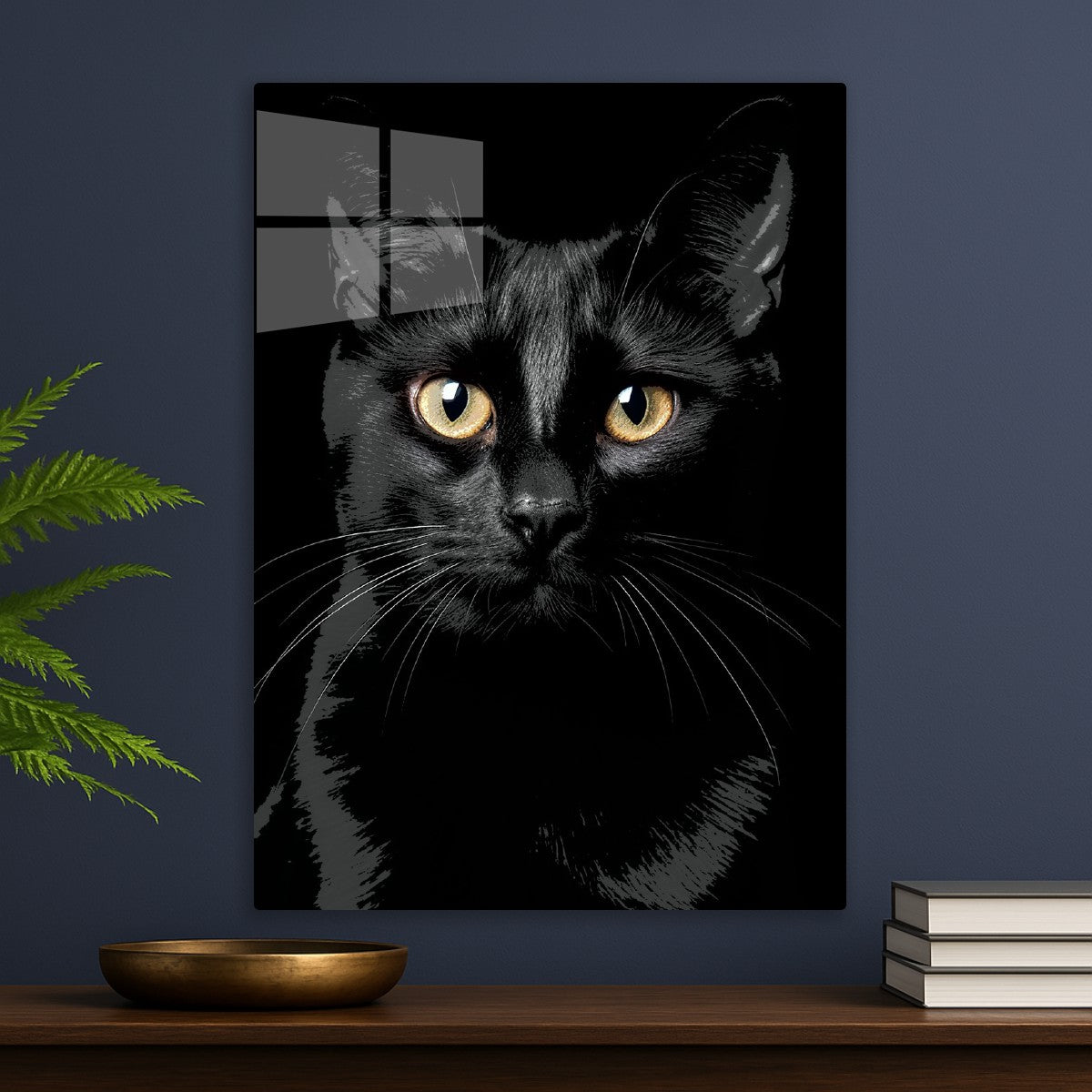 Black cat