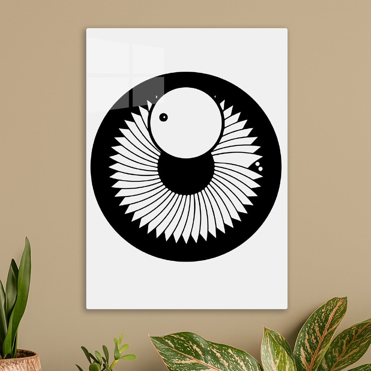 Solar Eye – Cosmic Crop Circle