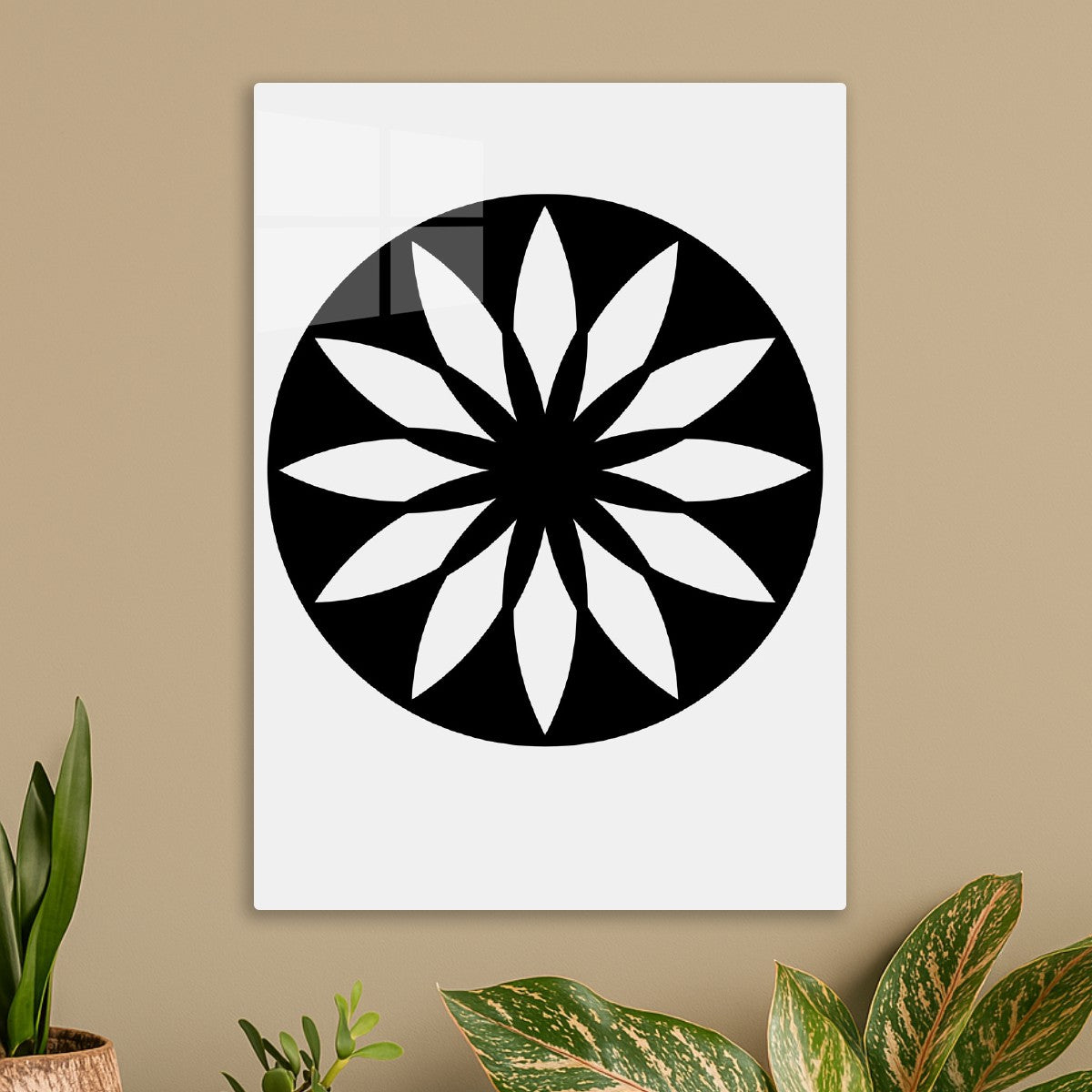 Stellar Bloom – Crop Circle Ma