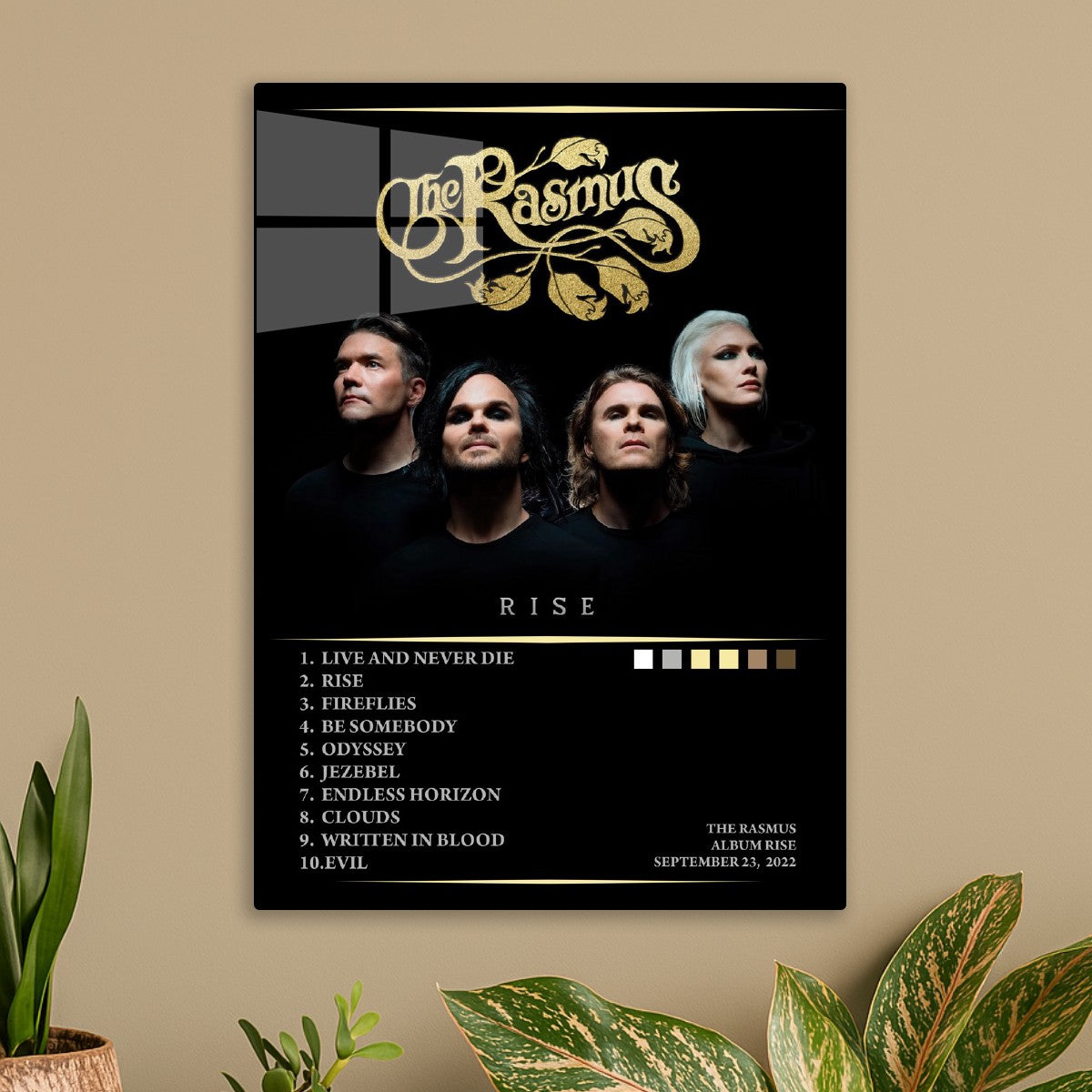 The rasmus