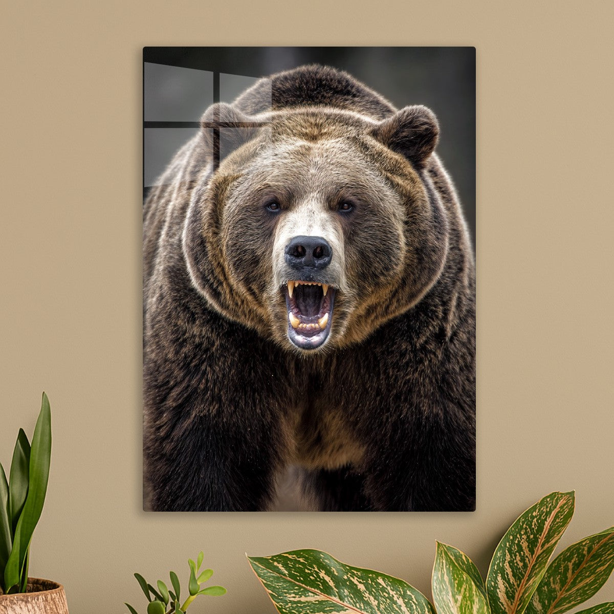 Fierce Grizzly Showdown