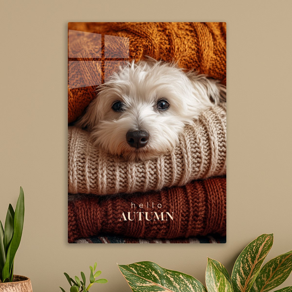 Certified Autumn Snuggle