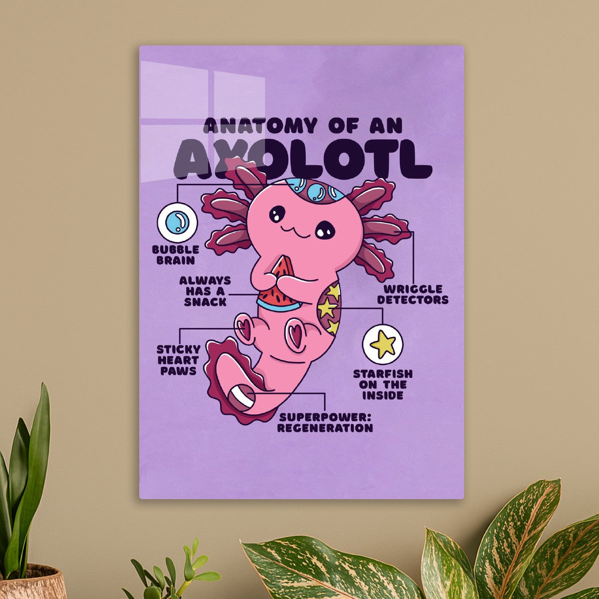 Axolotl Anatomy & Superpowers
