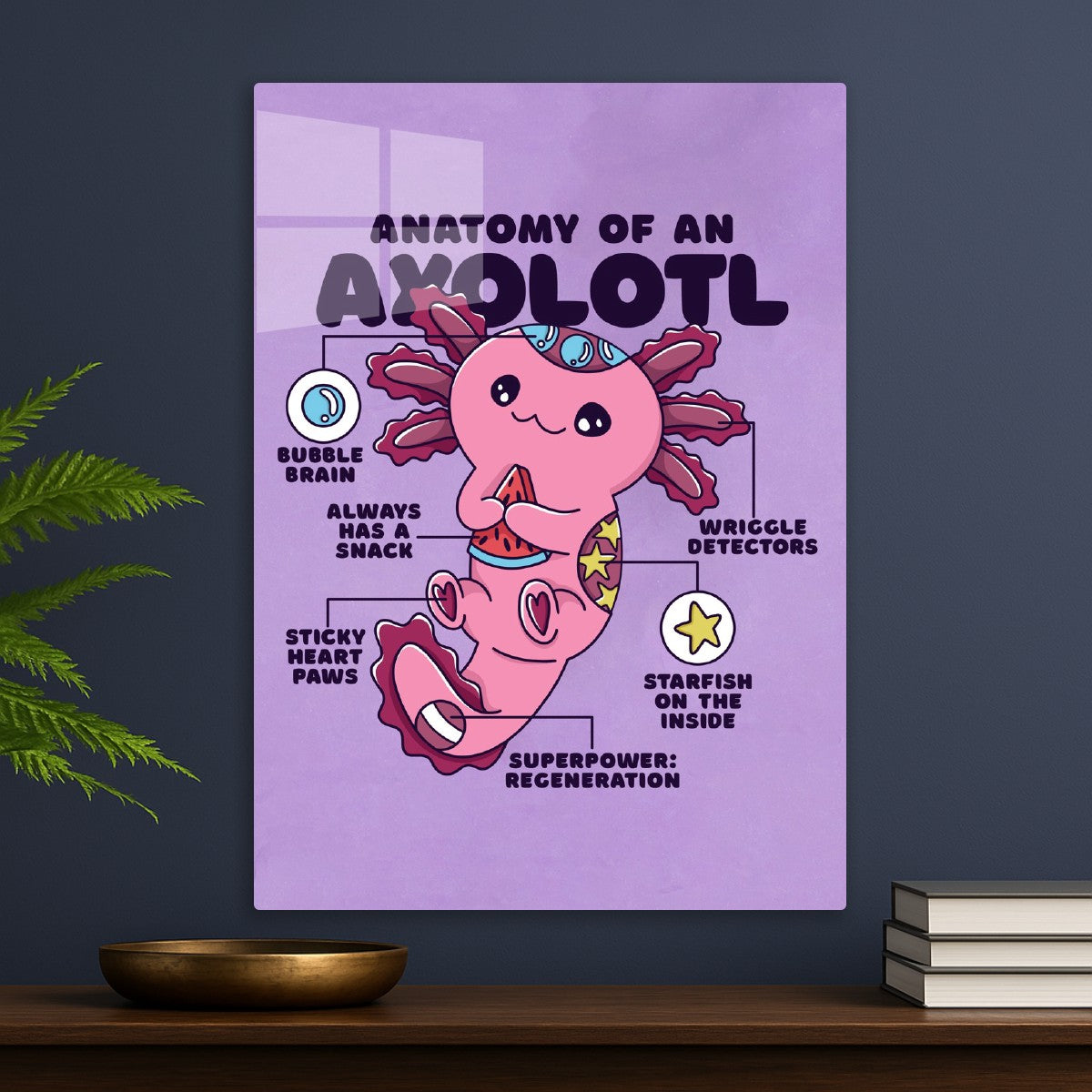 Axolotl Anatomy & Superpowers