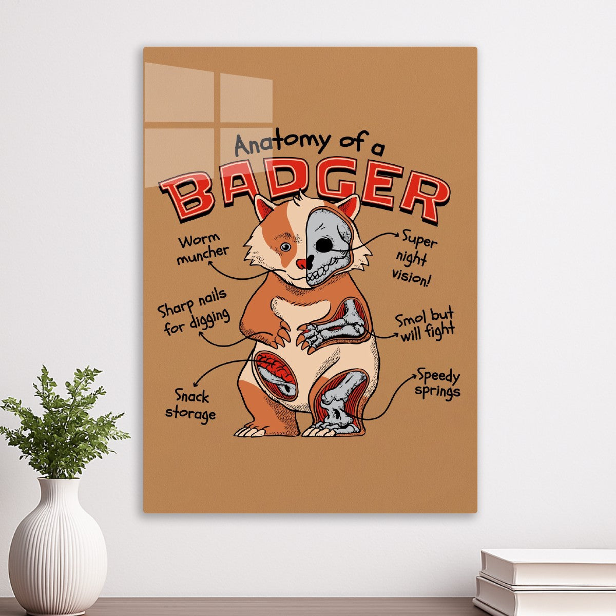 Badger Anatomy Funny Science