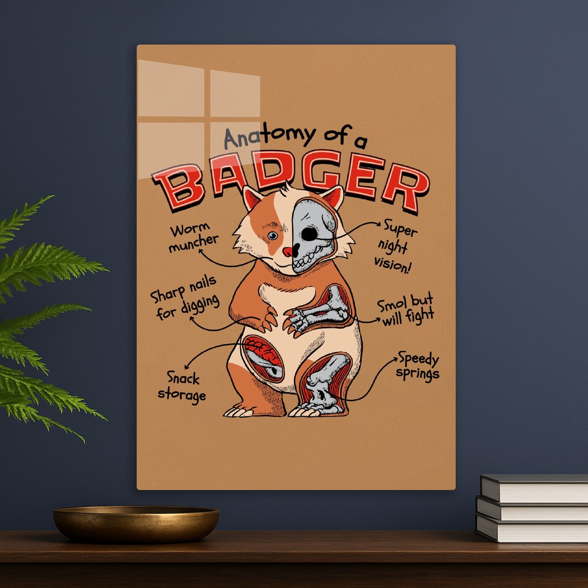 Badger Anatomy Funny Science
