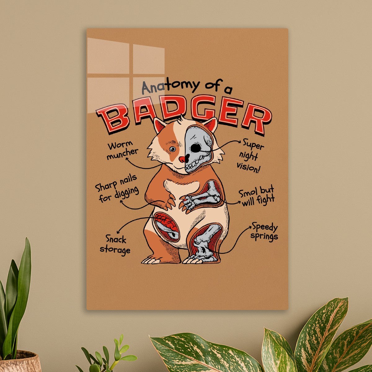 Badger Anatomy Funny Science