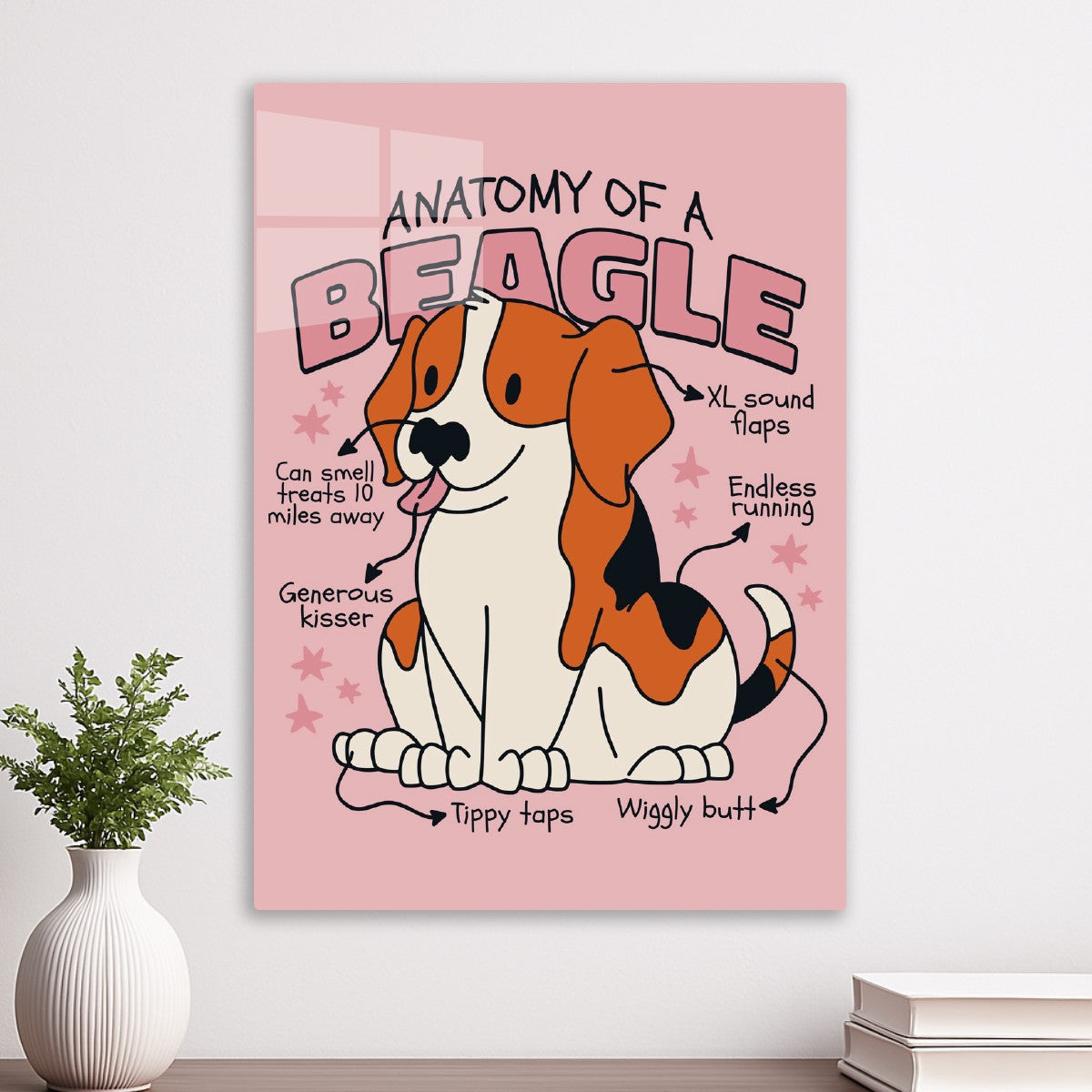 Anatomy of a Beagle Dog 